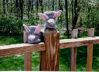 Bunny Bootie